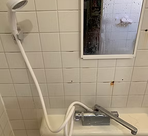 シャワーホース・ヘッド交換